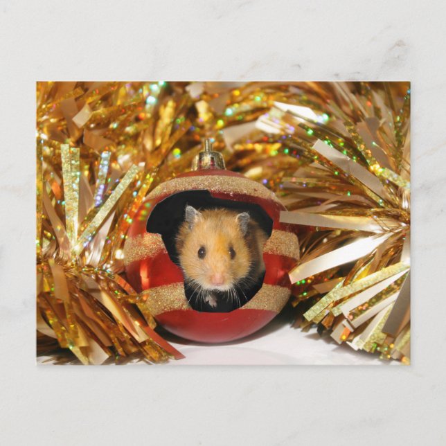 Hamster-Weihnachten Feiertagspostkarte (Vorderseite)