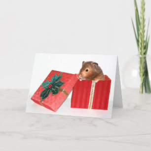 Hamster-Weihnachtsgeschenk Feiertagskarte