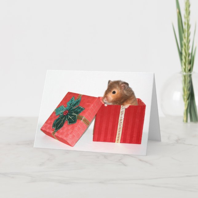 Hamster-Weihnachtsgeschenk Feiertagskarte (Vorderseite)