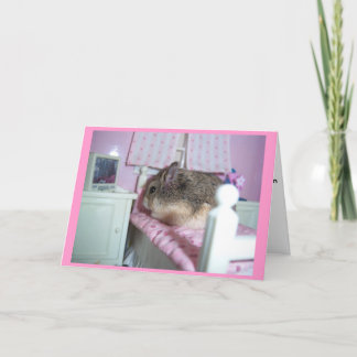 Hamster wird gut karte