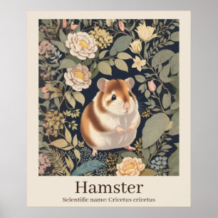 Hamster Wissenschaftlicher Name Tier Poster