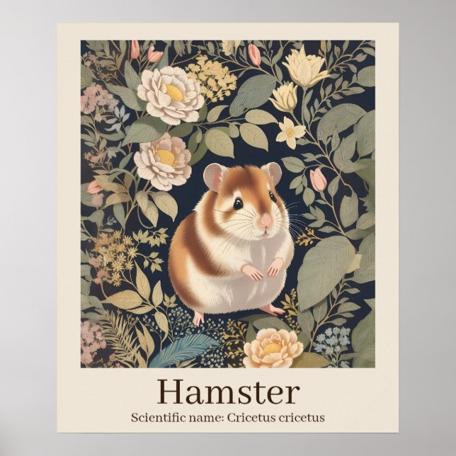 Hamster Wissenschaftlicher Name Tier Poster (Vorne)