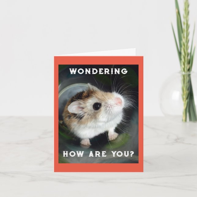 Hamster Wonder Note Card Karte (Vorderseite)
