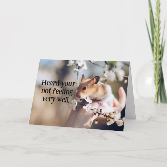 Hamsterkind erhält gute Karte (Vorderseite)