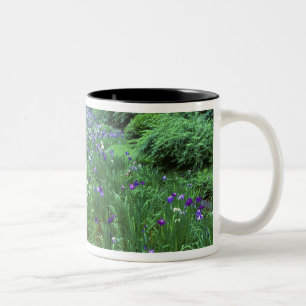 Hana Shobu (Japanische Wasser-Schwertlilie), Meiji Zweifarbige Tasse