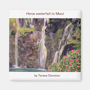 Hana-Wasserfälle in Maui, Hawaii Magnet