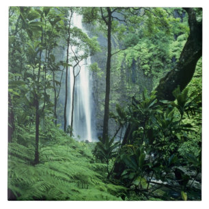 Hanakapiai Falls entlang der Na Pali Küste, Kauai, Fliese