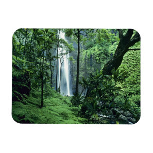 Hanakapiai Falls entlang der Na Pali Küste, Kauai Magnet