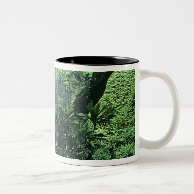 Hanakapiai Falls entlang der Na Pali Küste, Kauai, Zweifarbige Tasse (Rechts)