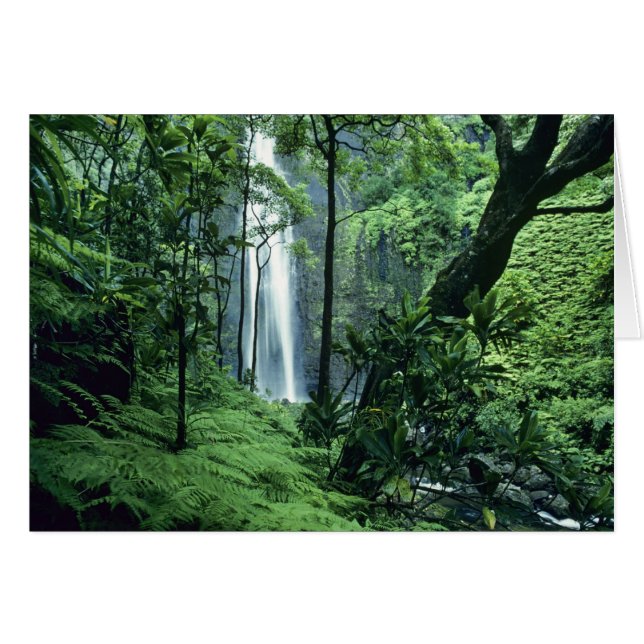 Hanakapiai fällt entlang der Na Pali Küste, Kauai, (Vorderseite (Horizontal))