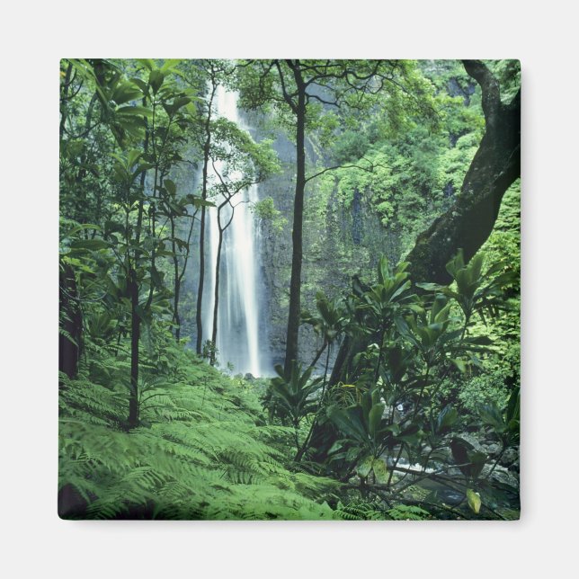 Hanakapiai fällt entlang der Na Pali Küste, Kauai, Magnet (Vorne)