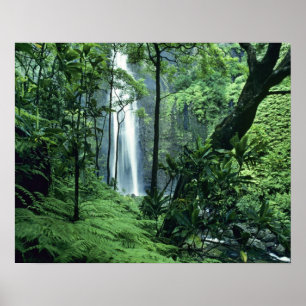 Hanakapiai-Wasserfall entlang der Na Pali Küste, K Poster