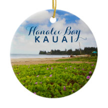 Hanalei Bay Kauai Hawaii 2 Foto Jahr