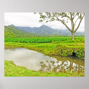 HANALEI (KAUAI) TARO-FELDER POSTER