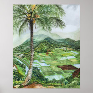 Hanalei Valley 16x20M Poster