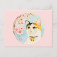 Hanami | Japanische Cartoon Cat Illustration