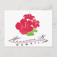 Hanauma Bay Hawaii - Blume Roter Hibiskus