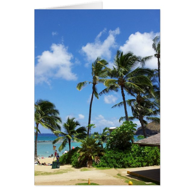 Hanauma Bay Hawaii Coconut Trees (Vorne)