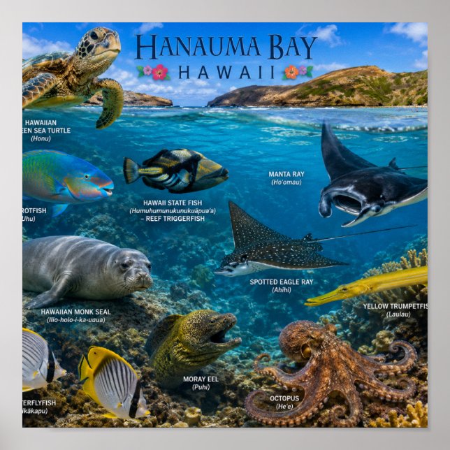 Hanauma Bay Hawaii Poster (Vorne)