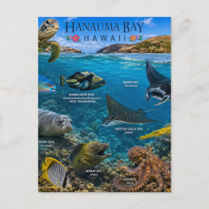 Hanauma Bay Hawaii Postkarte