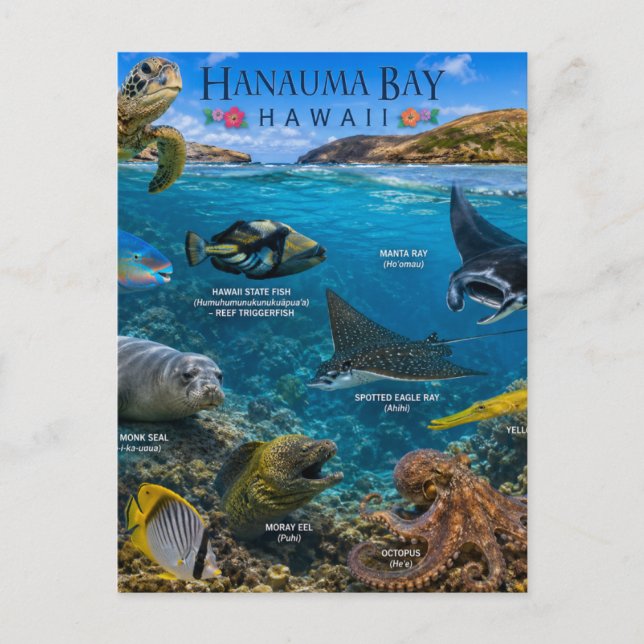 Hanauma Bay Hawaii Postkarte (Vorderseite)