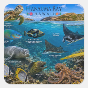 Hanauma Bay Hawaii Quadratischer Aufkleber