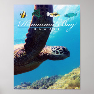 Hanauma Bay Hawaii Sea Turtle Poster