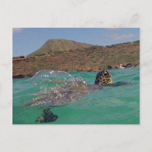 Hanauma Bay Hawaii Turtle Postkarte