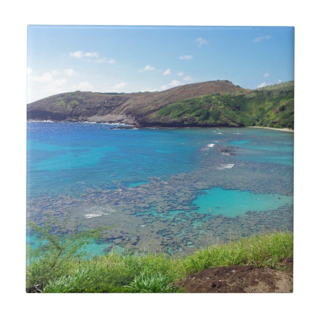 Hanauma Bay Oahu Hawaii Fliese (Vorderseite)