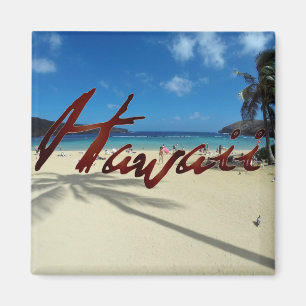 Hanauma Bay Oahu Hawaii Magnet