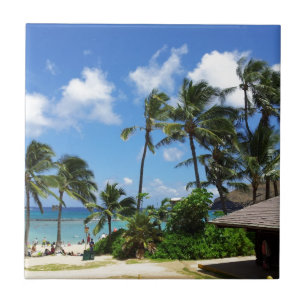 Hanauma Bucht-Hawaii-Kokosnuss-Bäume Fliese