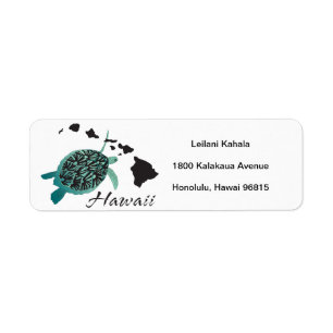Hanauma Bucht-Hawaii-Schildkröte
