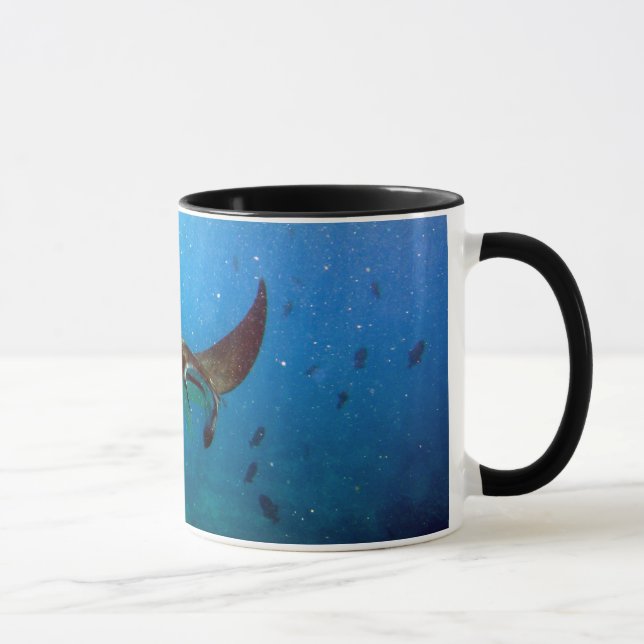 Hanauma Bucht-Hawaiimanta-Strahln-Tasse Tasse (Rechts)