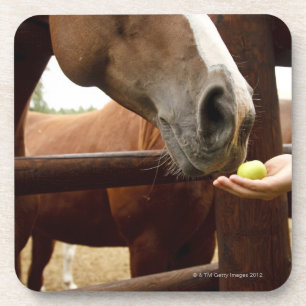 Hand, die einem Pferd einen Apfel füttert Untersetzer