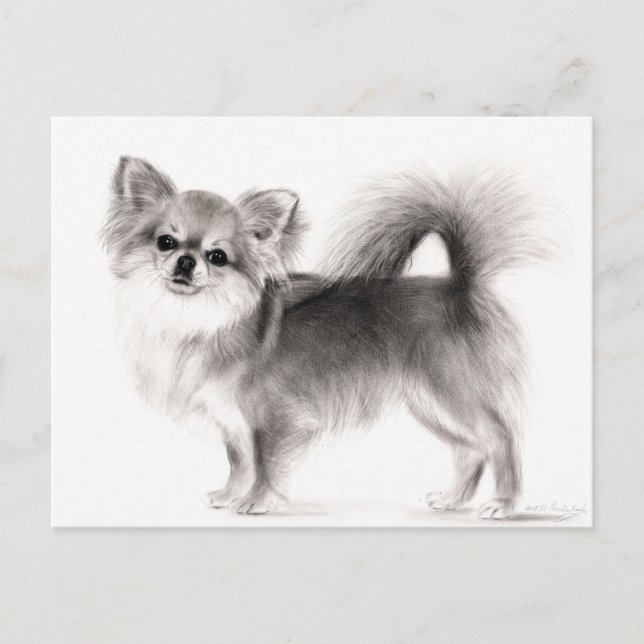 Hand Drawn Chihuahua Postkarte (Vorderseite)