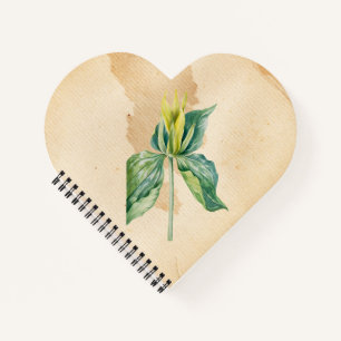 Hand Drawn Weck Robin Notizbuch