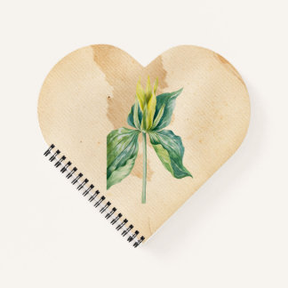 Hand Drawn Weck Robin Notizbuch