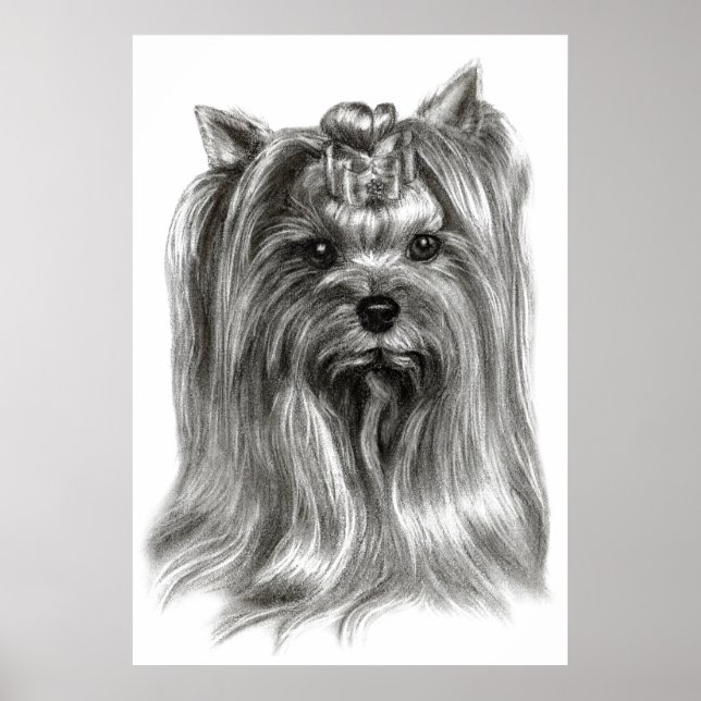 Hand Drawn Yorkshire Terrier Poster (Vorne)