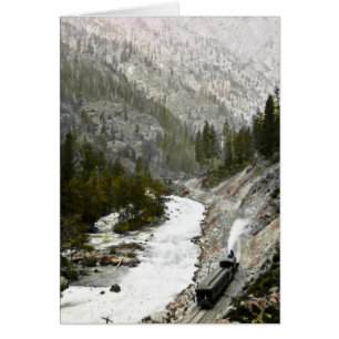 Hand farbiger Zug Offcial Photographe