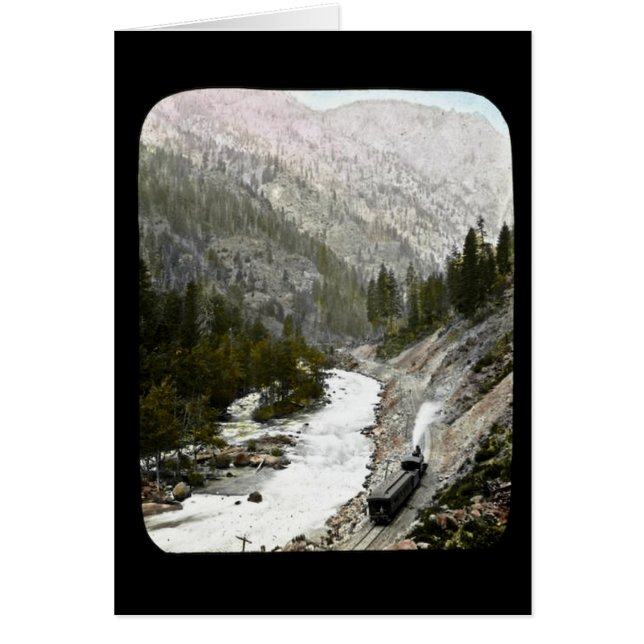 Hand farbiger Zug Offcial Photographe (Vorne)