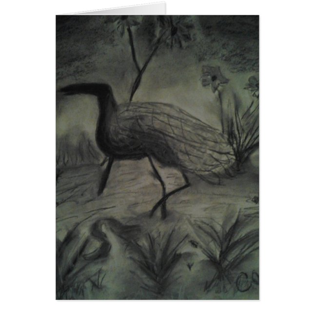 Hand gezeichnete Bilder für jede Anlässe (Vorne)