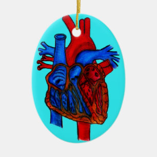 Hand gezeichnetes Aqua-anatomisches Herz Keramikornament