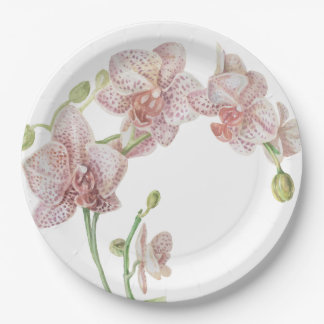 Hand Illustriert Orchid Pappteller