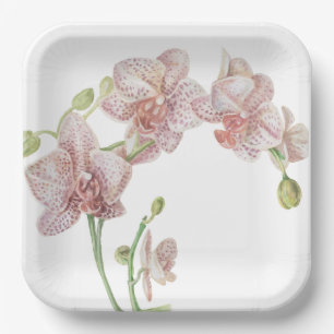 Hand Illustriert Orchid Pappteller