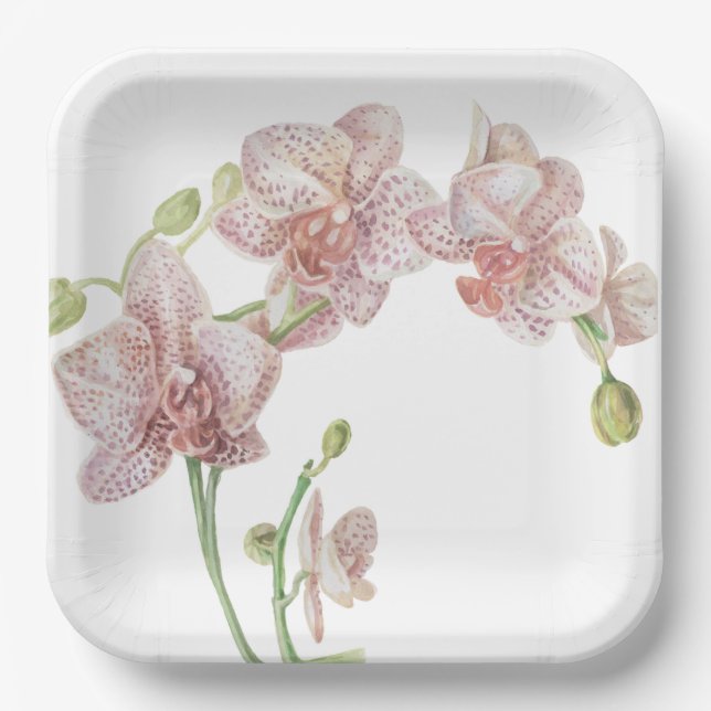 Hand Illustriert Orchid Pappteller (Vorderseite)