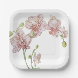 Hand Illustriert Orchid Pappteller