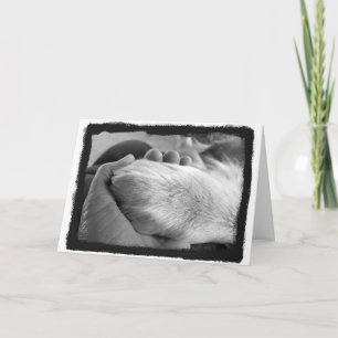 Hand-Karte einstecken Karte