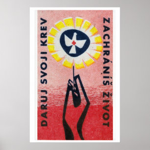 Hand mit Blumen haltende Friedenstaube - Matchbox- Poster