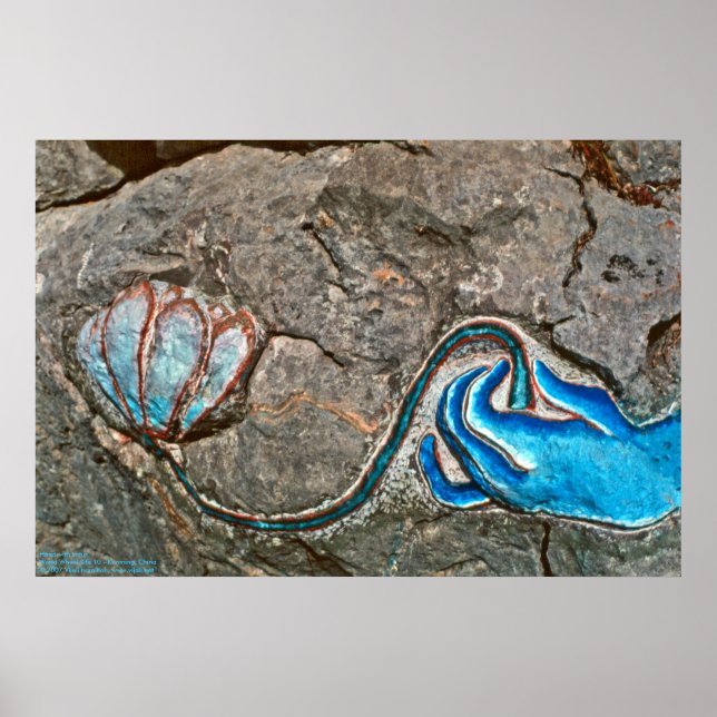 Hand mit Lotus/Poster Poster (Vorne)