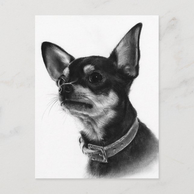 Hand Painted Chihuahua Head Study Postkarte (Vorderseite)